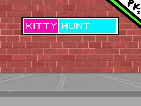 Kitty hunt