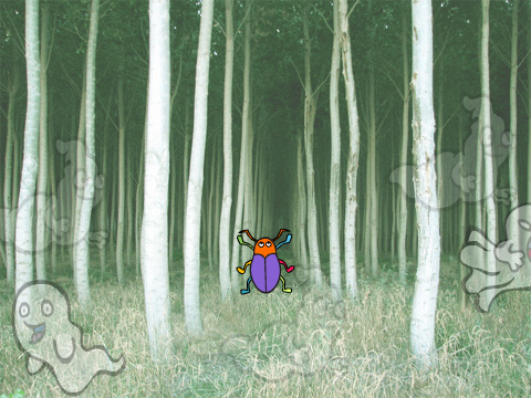 Bug's Adventure