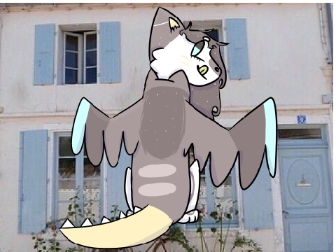 dtae