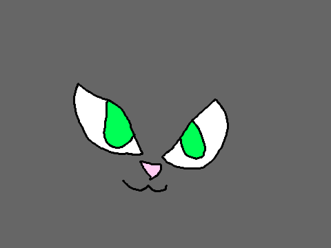 animation test