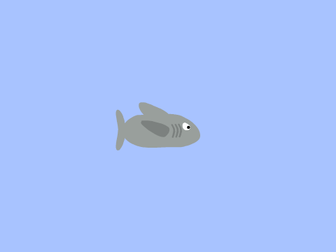 Shark Contest Entry