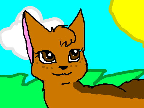 Cocopaw