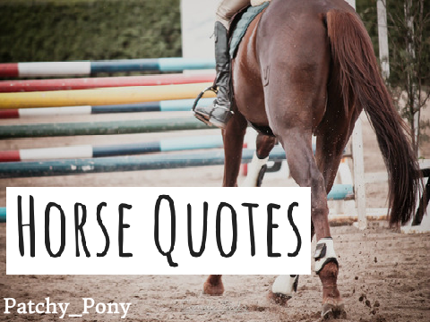 ♡~Horse Quotes~♡