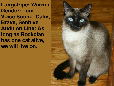 Warriors: Rockclan voices auditions remix