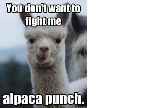 Alpaca memes!!!!