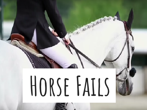Horse Fails♥