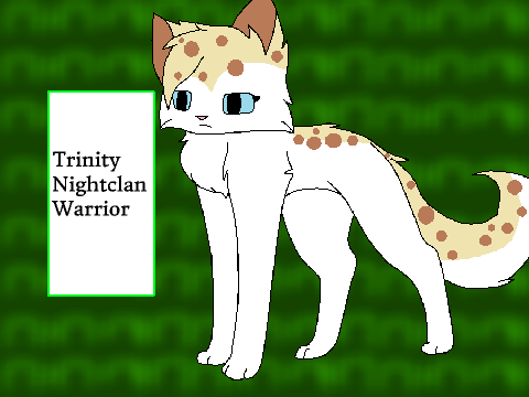 Trinity Bio Sheet