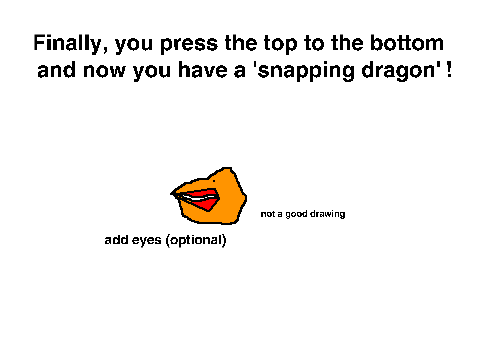 'snapping dragon' oragami tutorial