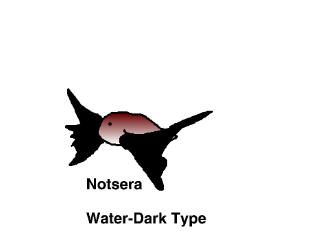 4 New Fish Pokemon For Twelfth Fishing Ferry