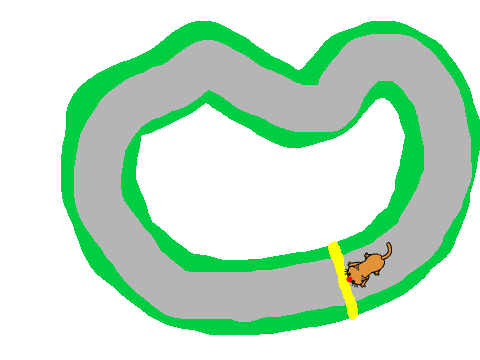 Racing Game