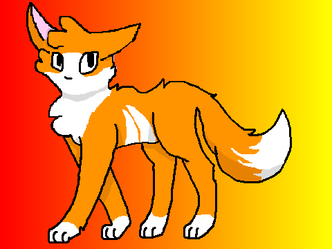 CAT CCE