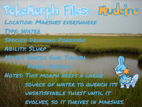 PokeMorph Files: Mudeino