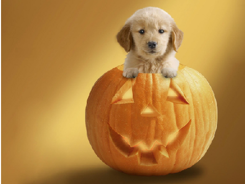 <3 Mah new desktop pic <3