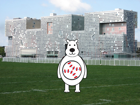 The bear with the baseball shirt