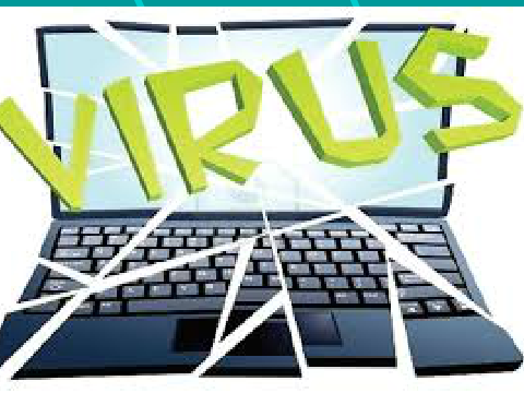 Virus