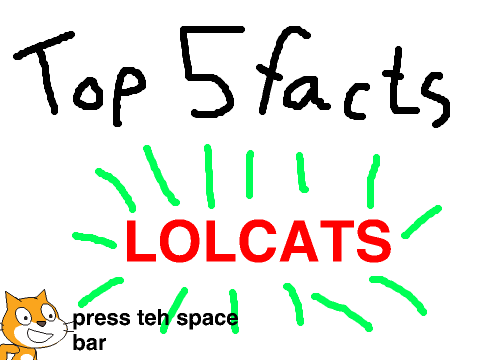 TOP 5 FACTS: LOLCATS