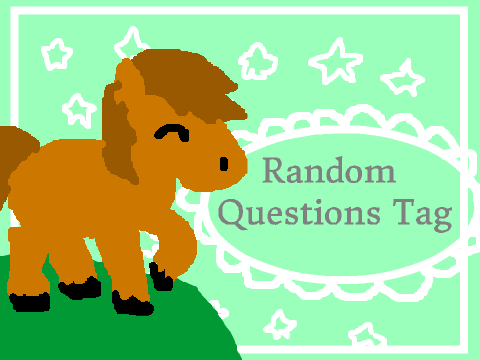 Random Questions Tag! 