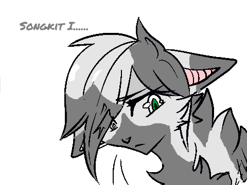 i didnt mean to... cc entry