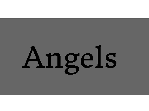 Angels || MEME || ft./ the neighbours