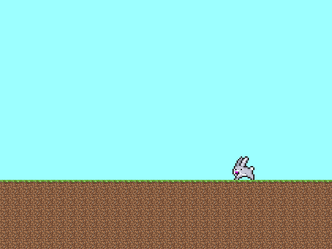 Bunny Runs On Grass