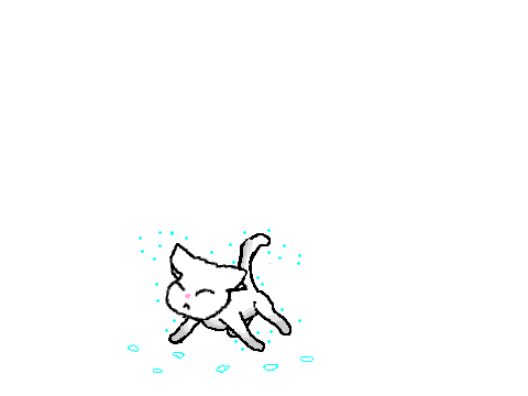 Shaking Cat
