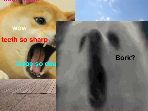 GABE  VS DOGE