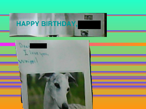 My Dog's Birthday/Barkmistva