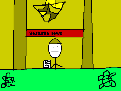 Seaturtle news TV report!