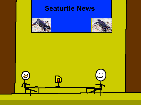 The seaturtle News