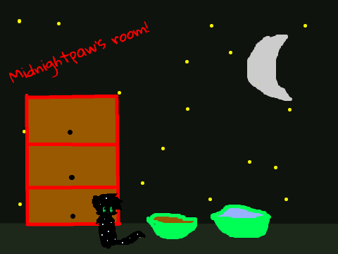 Midnightpaw's room