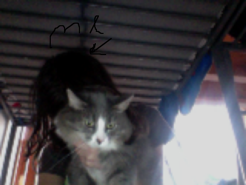 My Baby() 