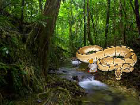 Python Programming