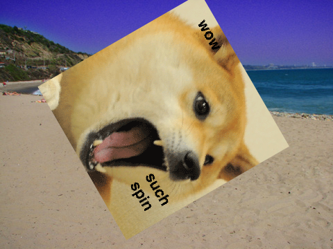 Spin the DOGE