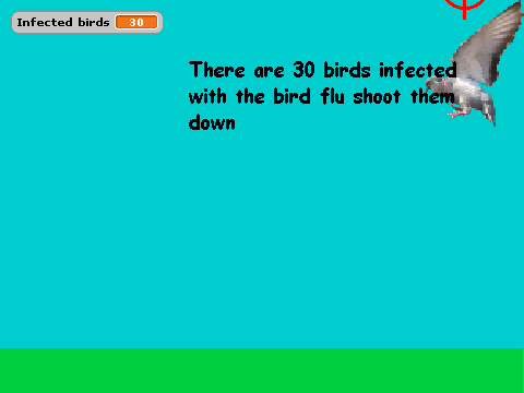 Bird Flu Hunt