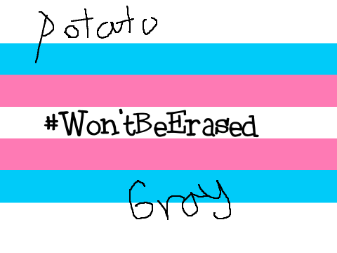 #Won'tBeErased remix