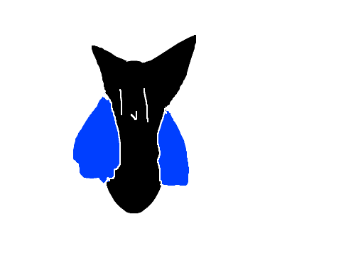 Oh boi it's me, Foswoci