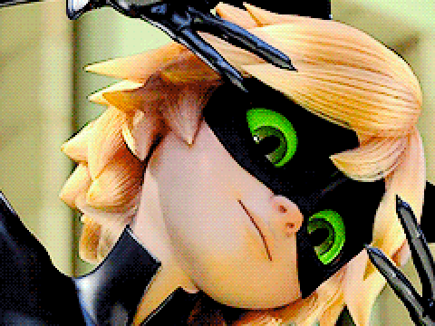 Chat Noir