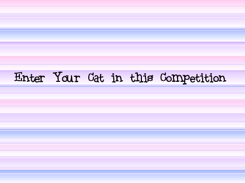 Enter Your Cat!