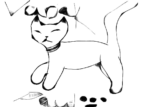 Name this cat 