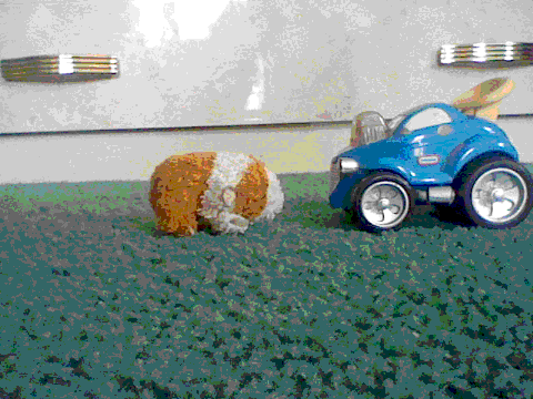 My first stop-motion video