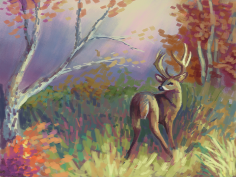 Oh Deer