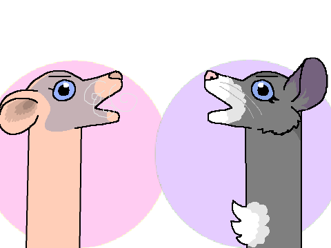 Good4ursoul ,, meme?? (My rats edition) :P