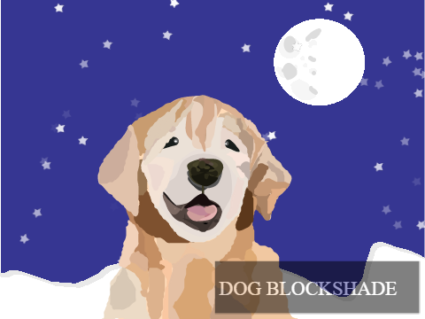 *･✧A Dog's First Snow*:✧ First Ever Blockshade