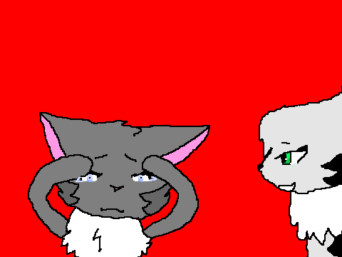 Part 14 themedcat