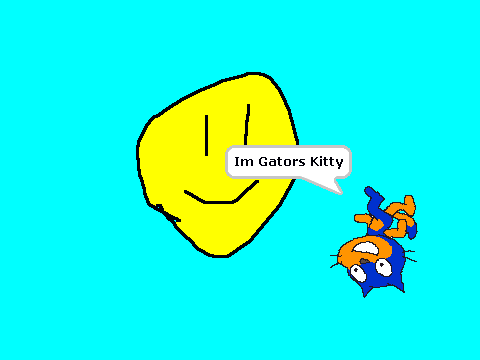 Gators Kitty