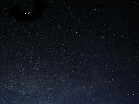 find the bat