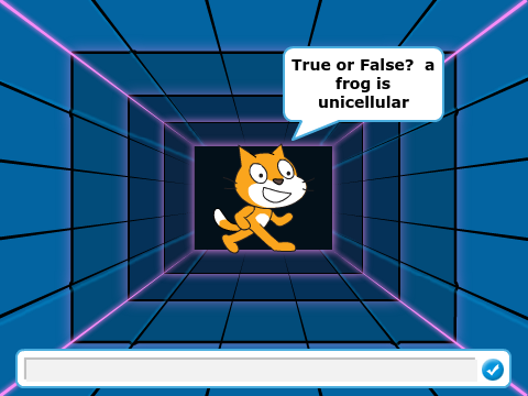 quiz project