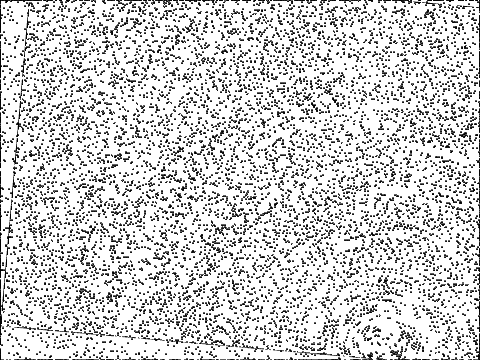 Freaky Dot Patterns