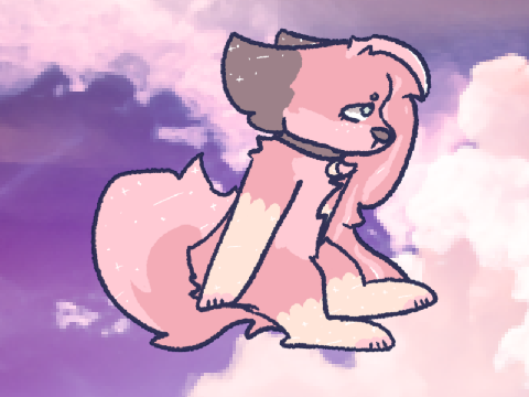 a e s t h e t i c