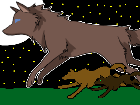 Wolf Family Running